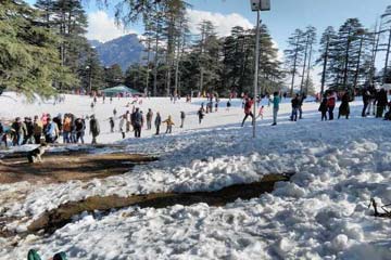 Chandigarh - Patnitop